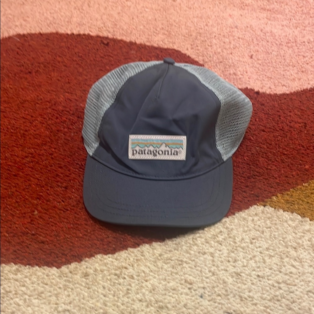 Patagonia Navy and Gray Trucker Hat
